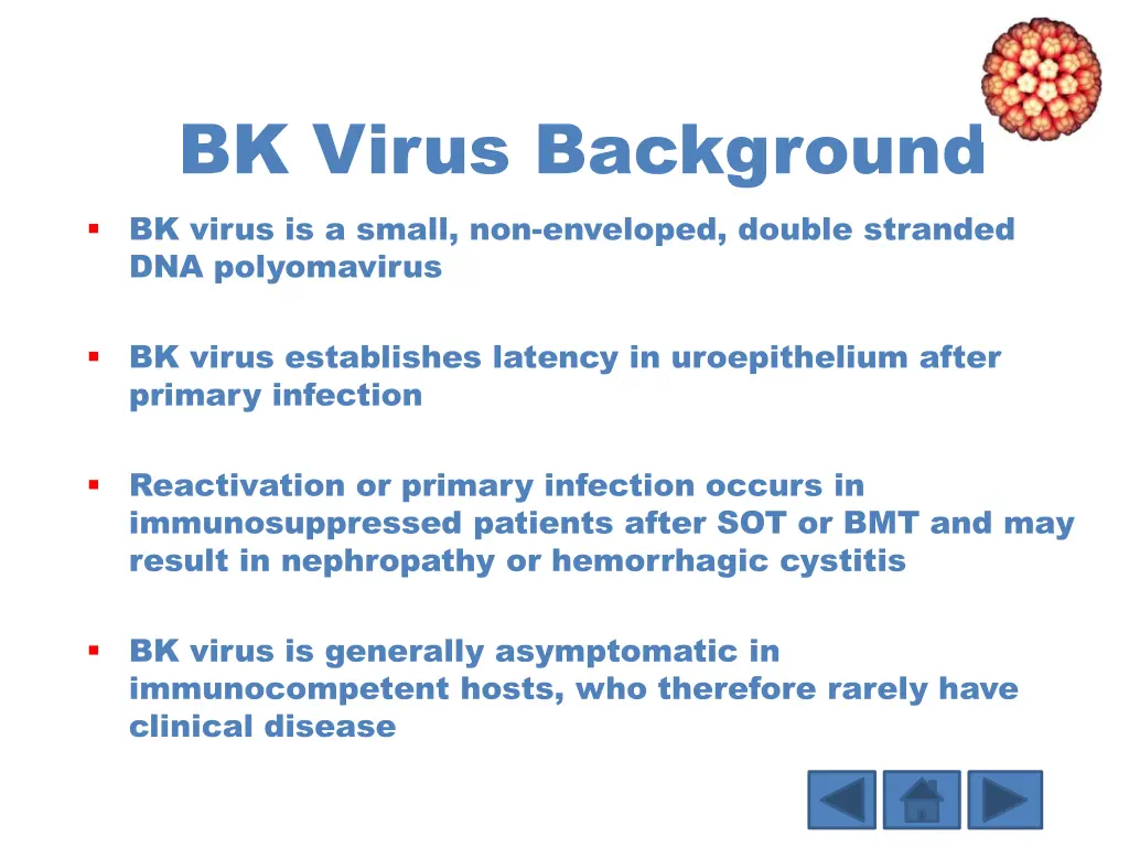 bk virus background bk virus is a small