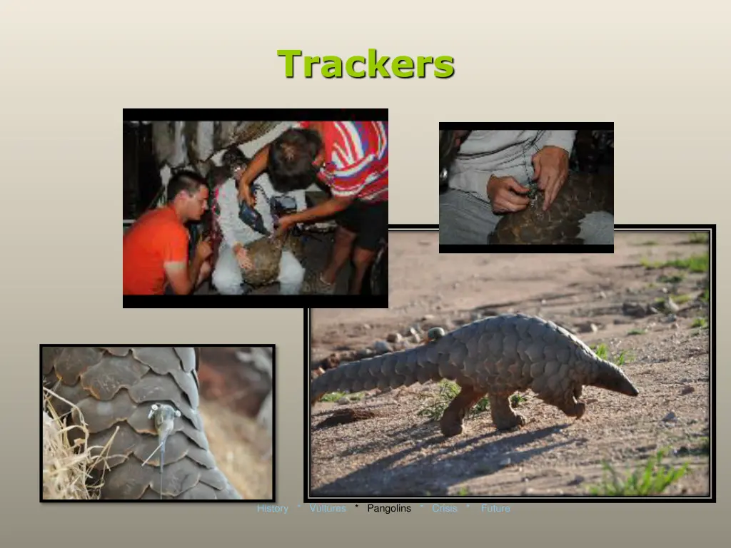 trackers