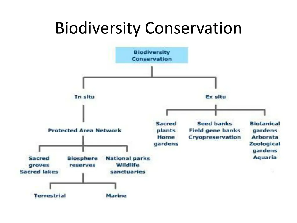 biodiversity conservation