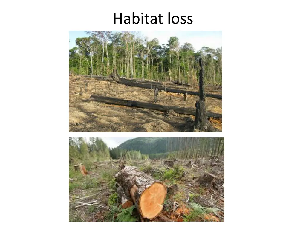 habitat loss