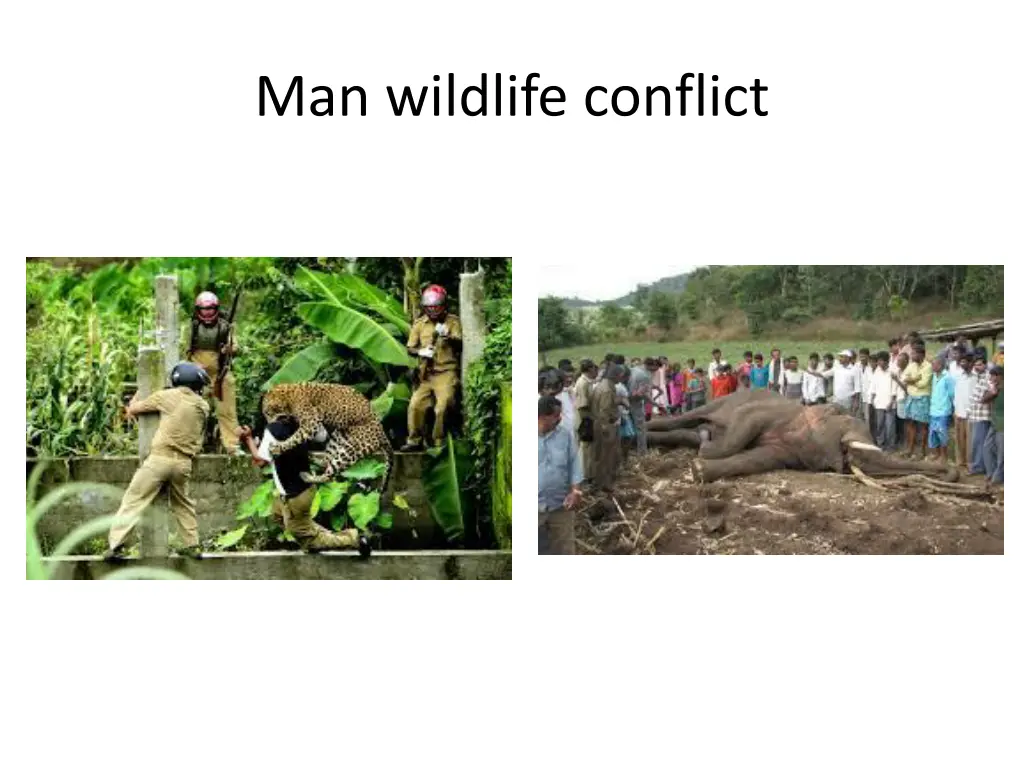 man wildlife conflict