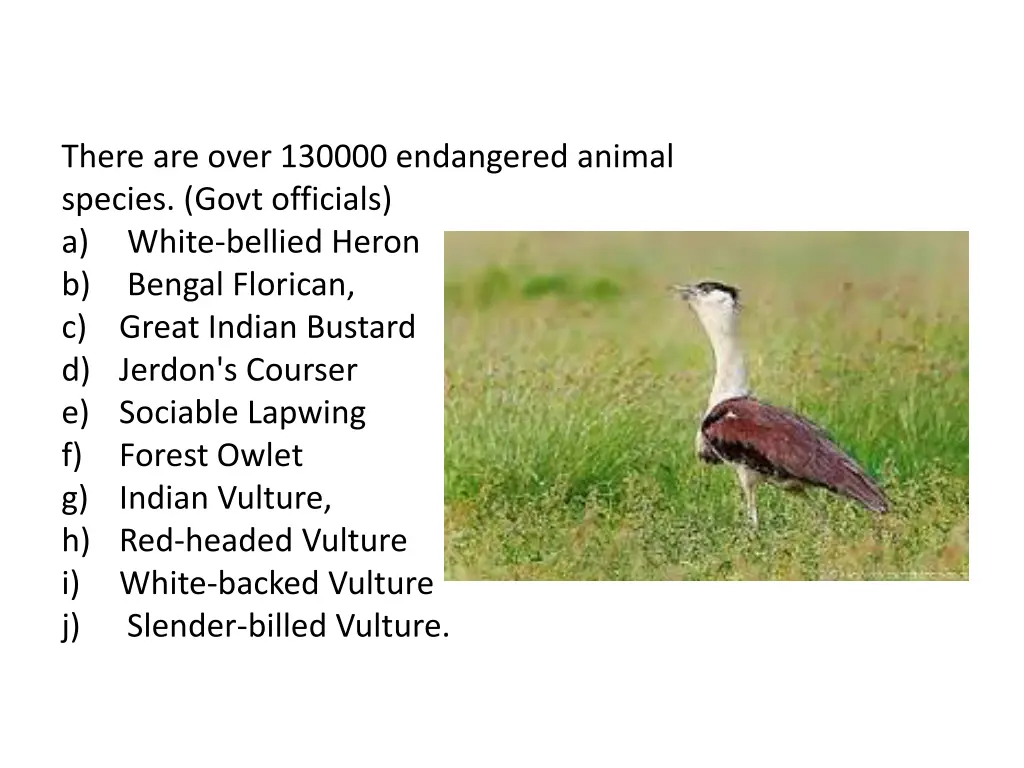 there are over 130000 endangered animal species