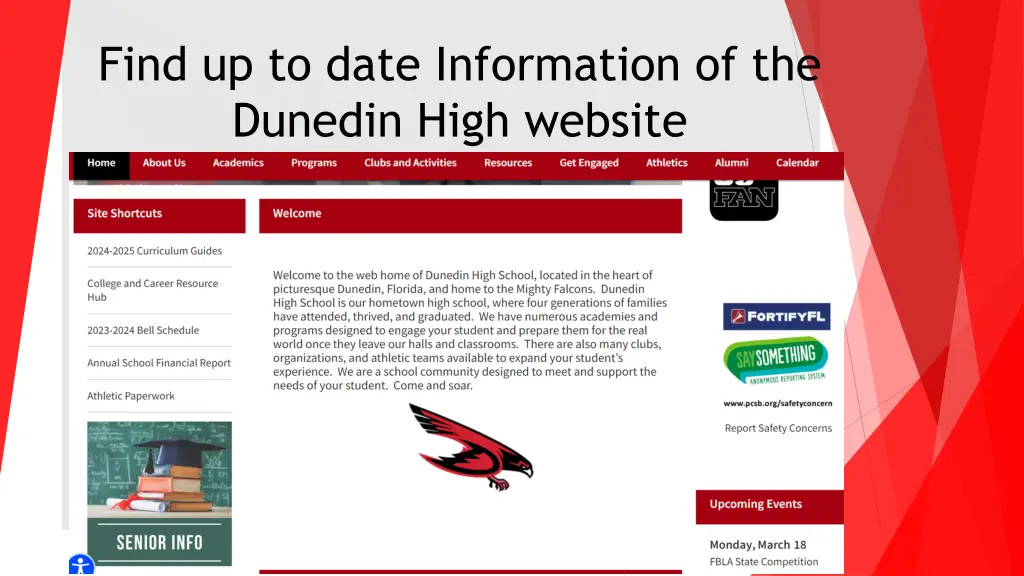 find up to date information of the dunedin high