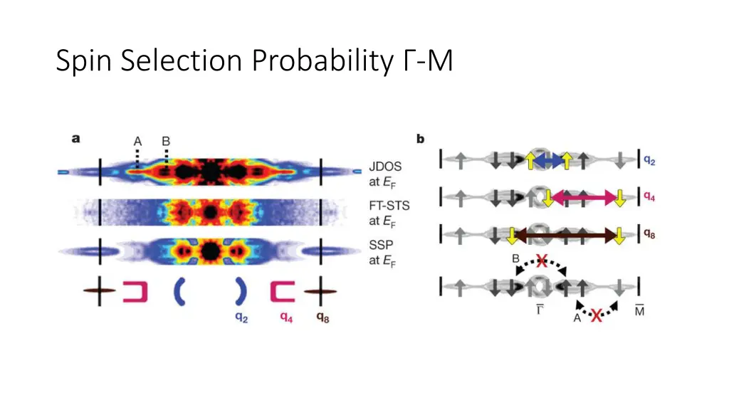 spin selection probability m