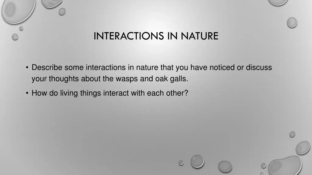 interactions in nature