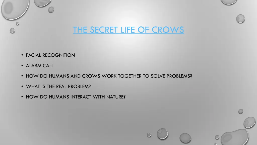 the secret life of crows