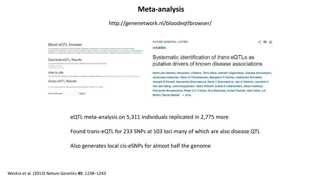 meta analysis