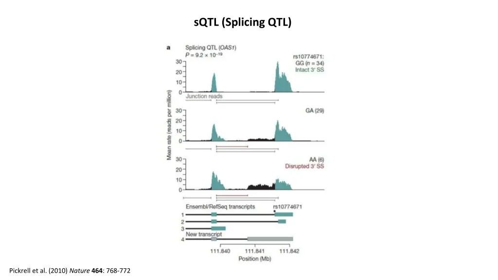 sqtl splicing qtl