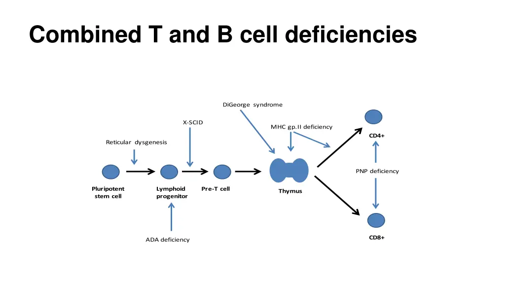 combined t and b cell deficiencies