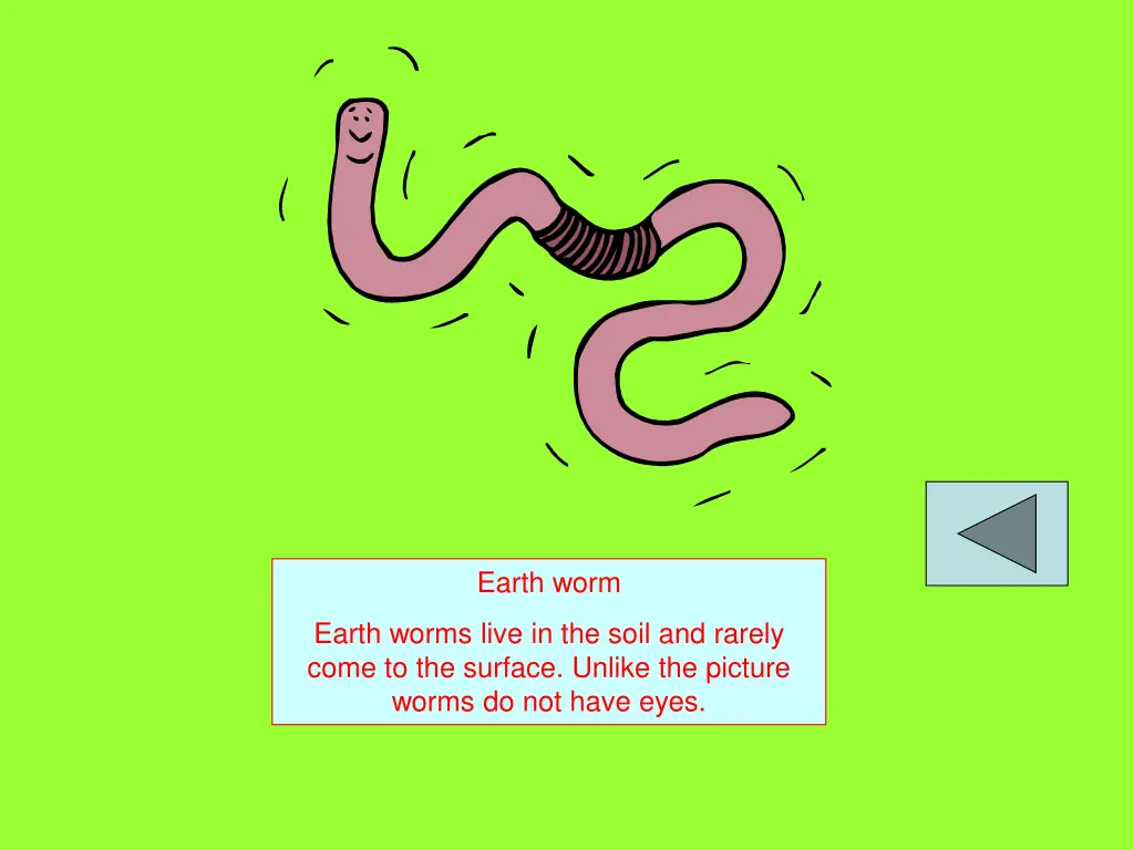 earth worm