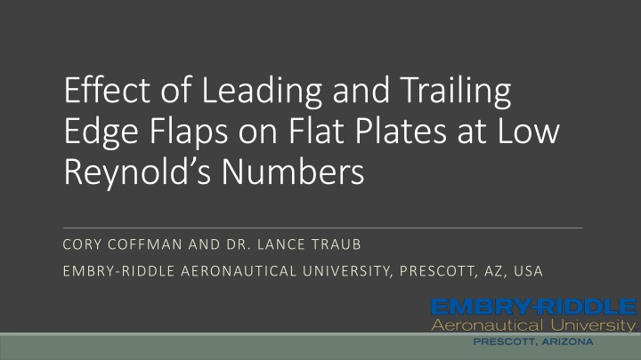 effect of leading and trailing edge flaps on flat