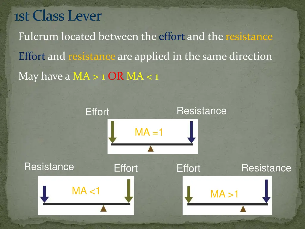 1st class lever