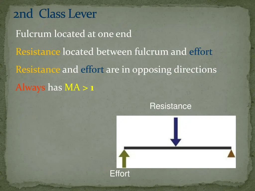 2nd class lever