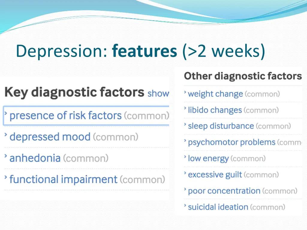 depression features 2 weeks