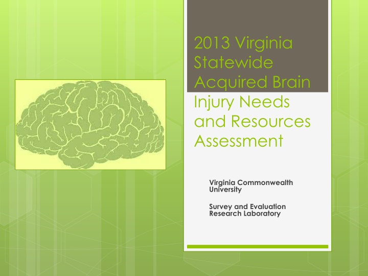 2013 virginia statewide acquired brain injury