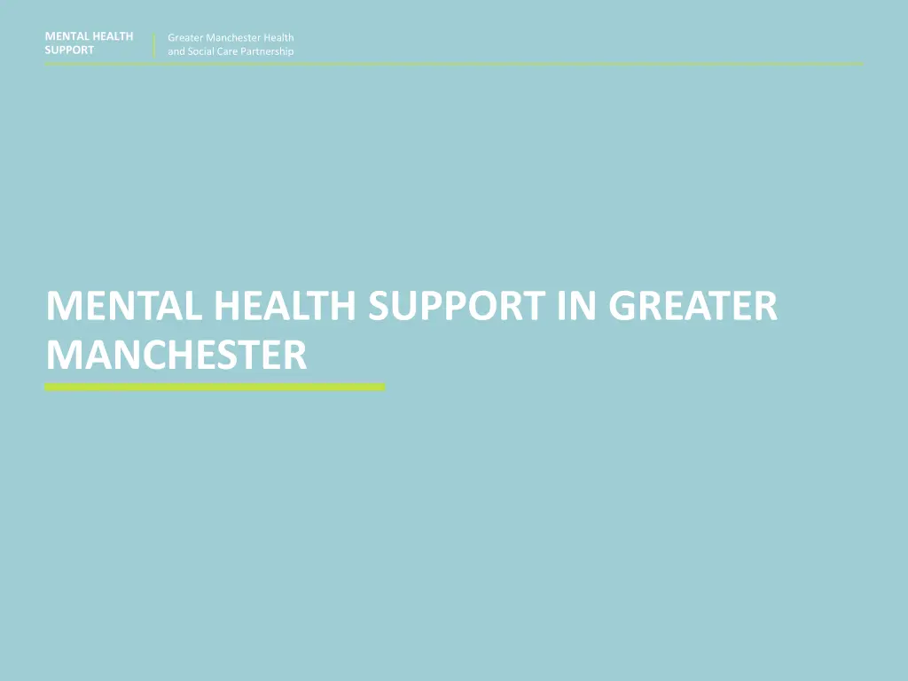 mental health support