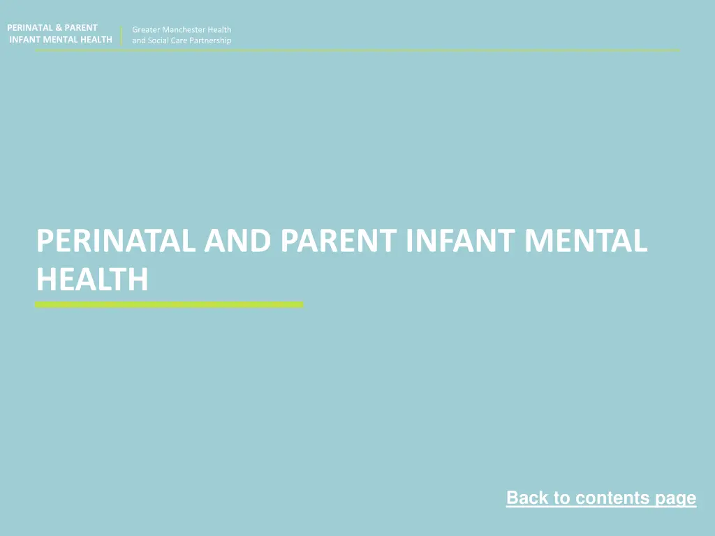 perinatal parent infant mental health