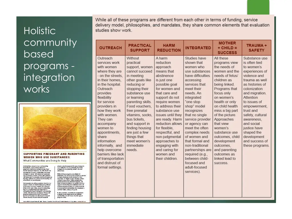 holistic community based programs integration