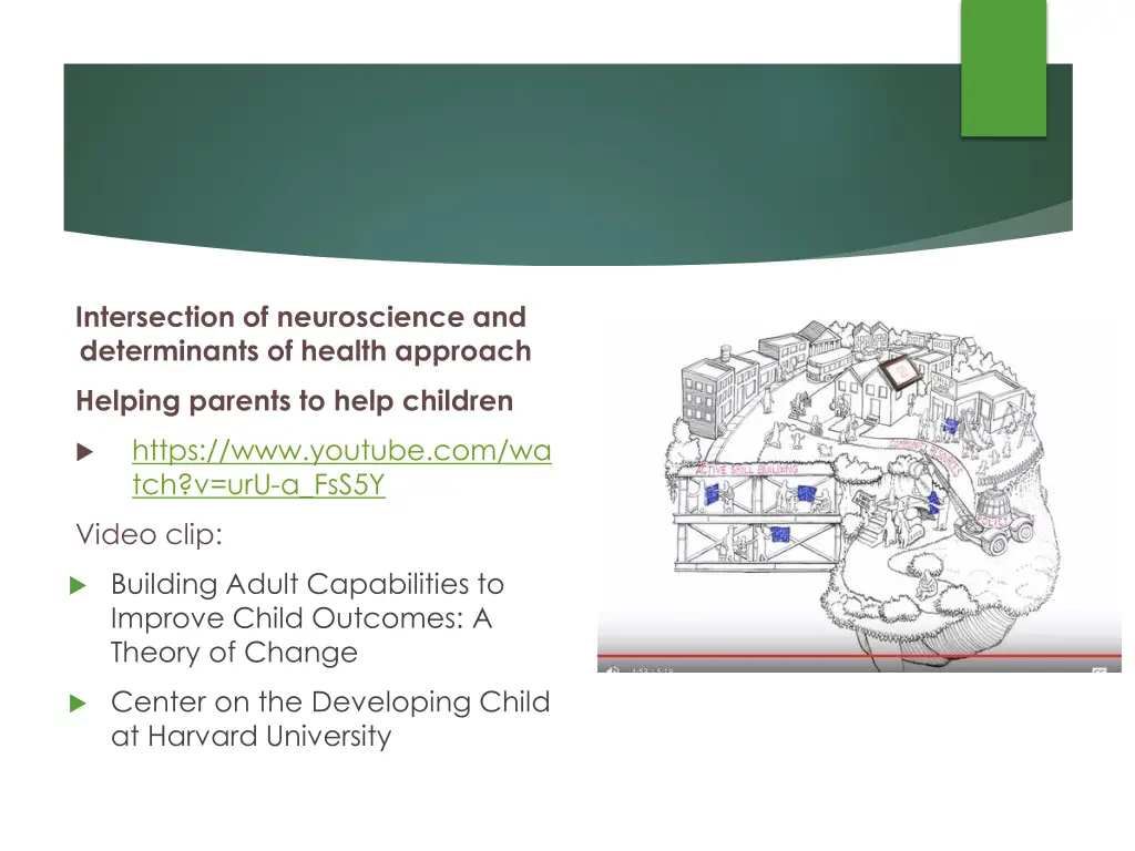 intersection of neuroscience and determinants