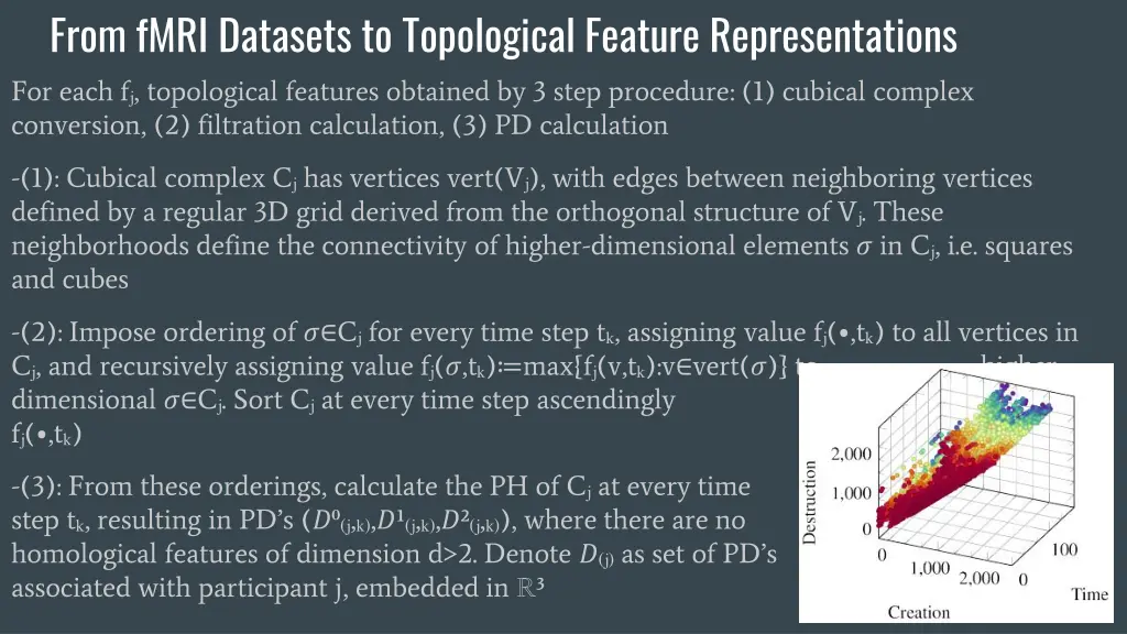 from fmri datasets to topological feature