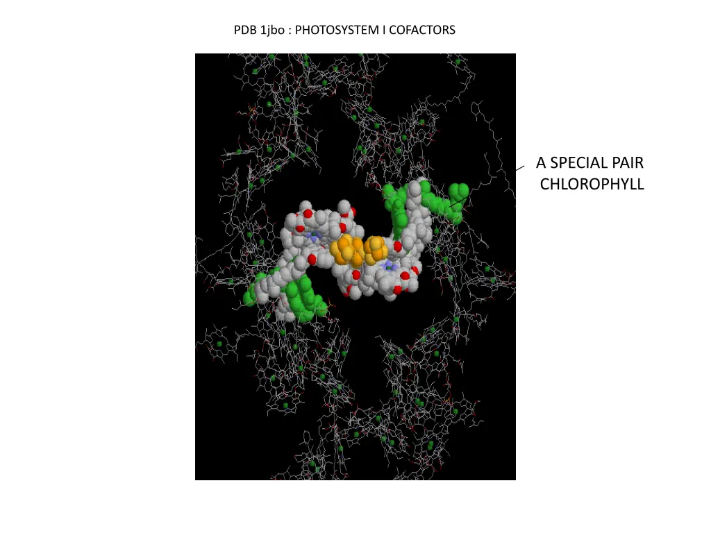 pdb 1jbo photosystem i cofactors