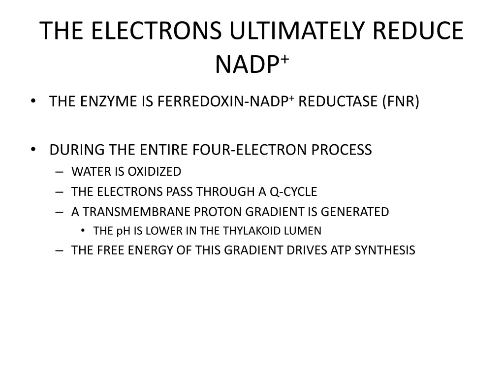 the electrons ultimately reduce nadp