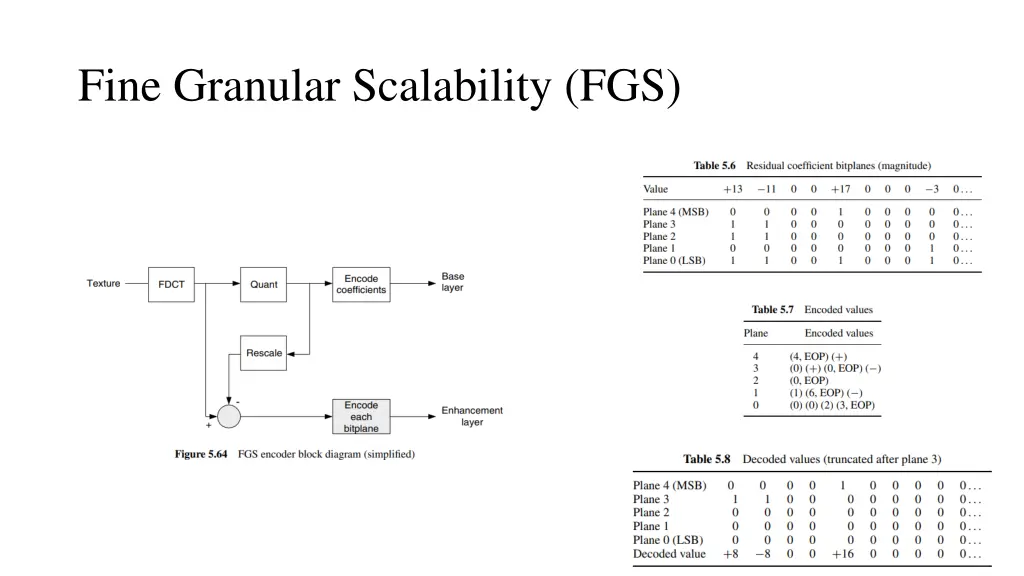 fine granular scalability fgs