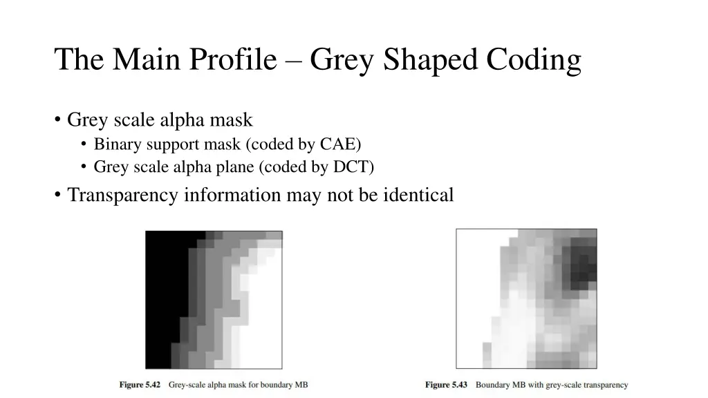 the main profile grey shaped coding