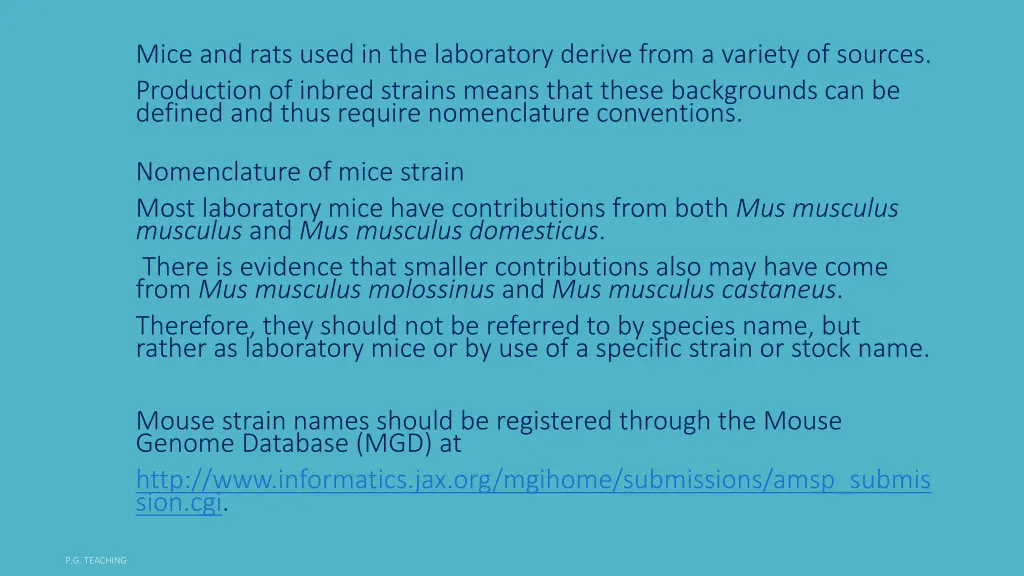 mice and rats used in the laboratory derive from