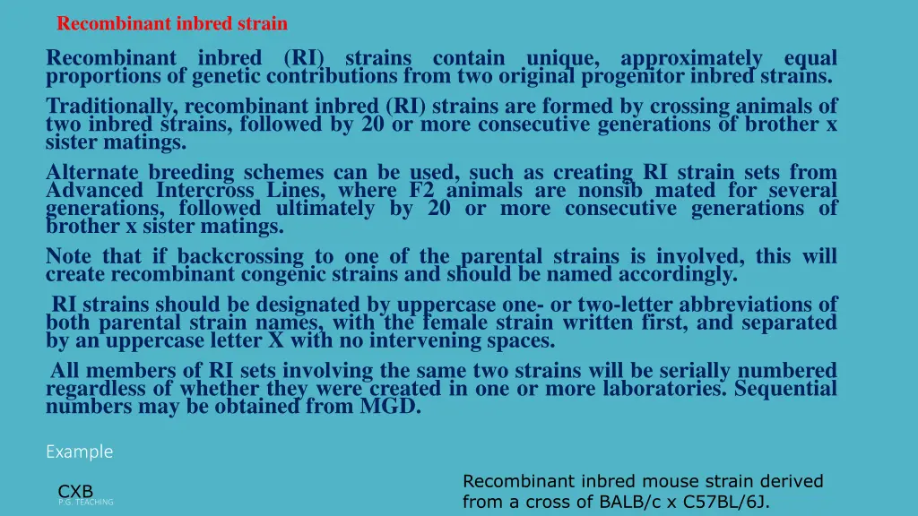 recombinant inbred strain recombinant inbred