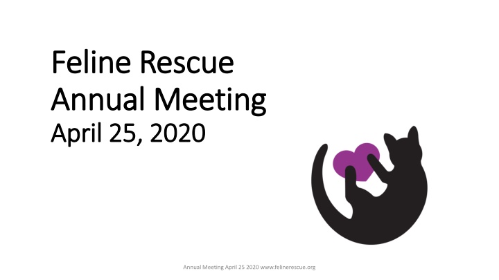 feline rescue feline rescue annual meeting annual