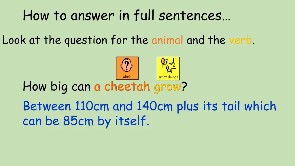 how to answer in full sentences