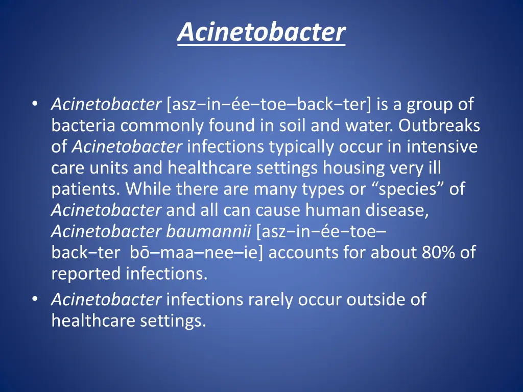 acinetobacter