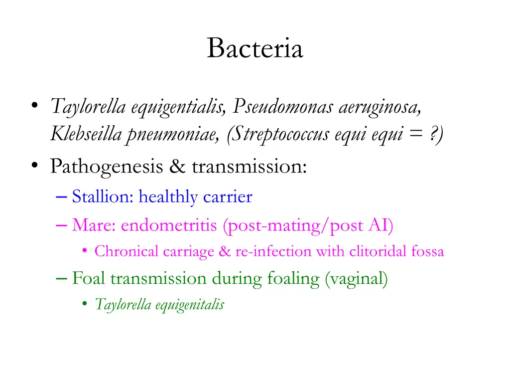 bacteria 1