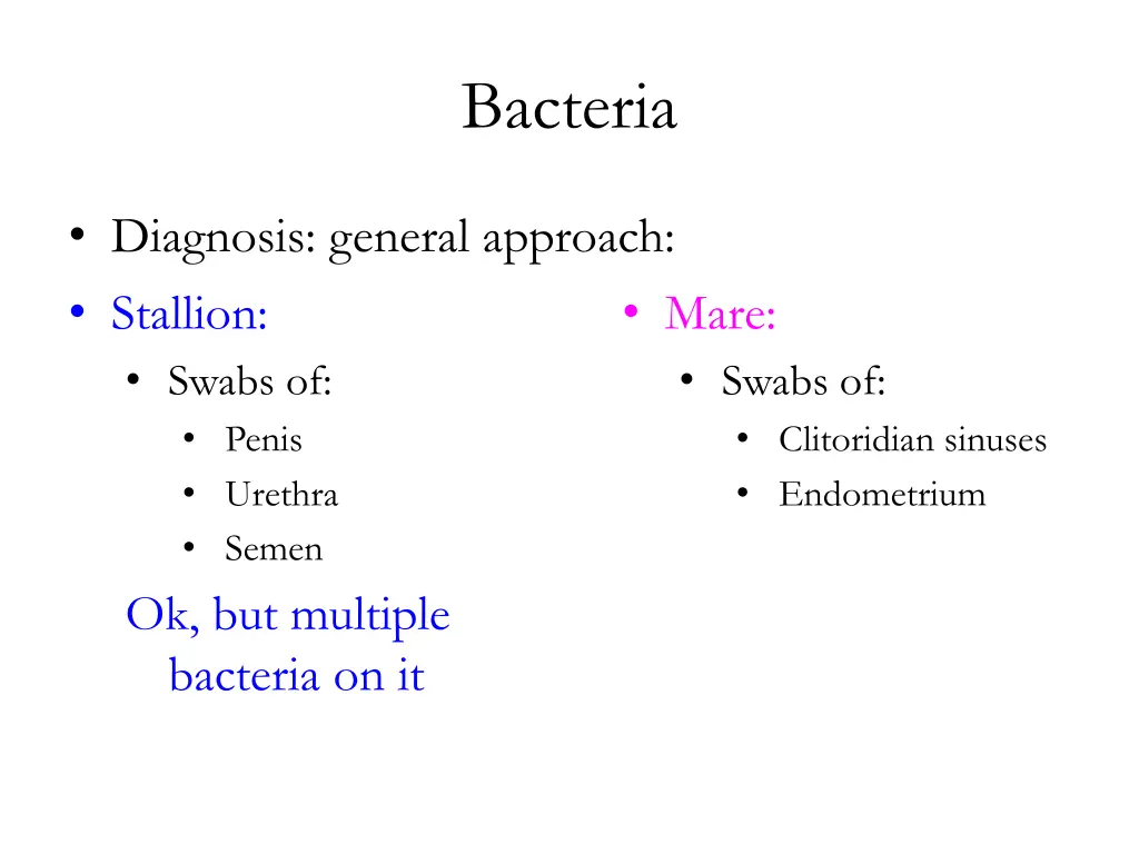 bacteria 2