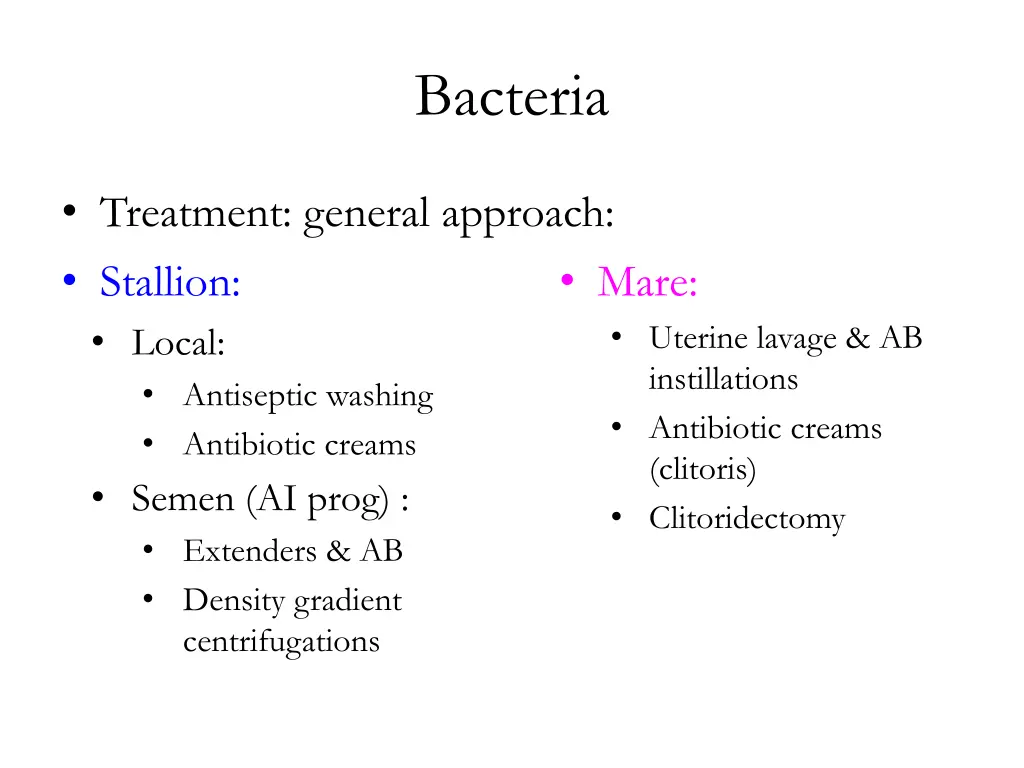 bacteria 3