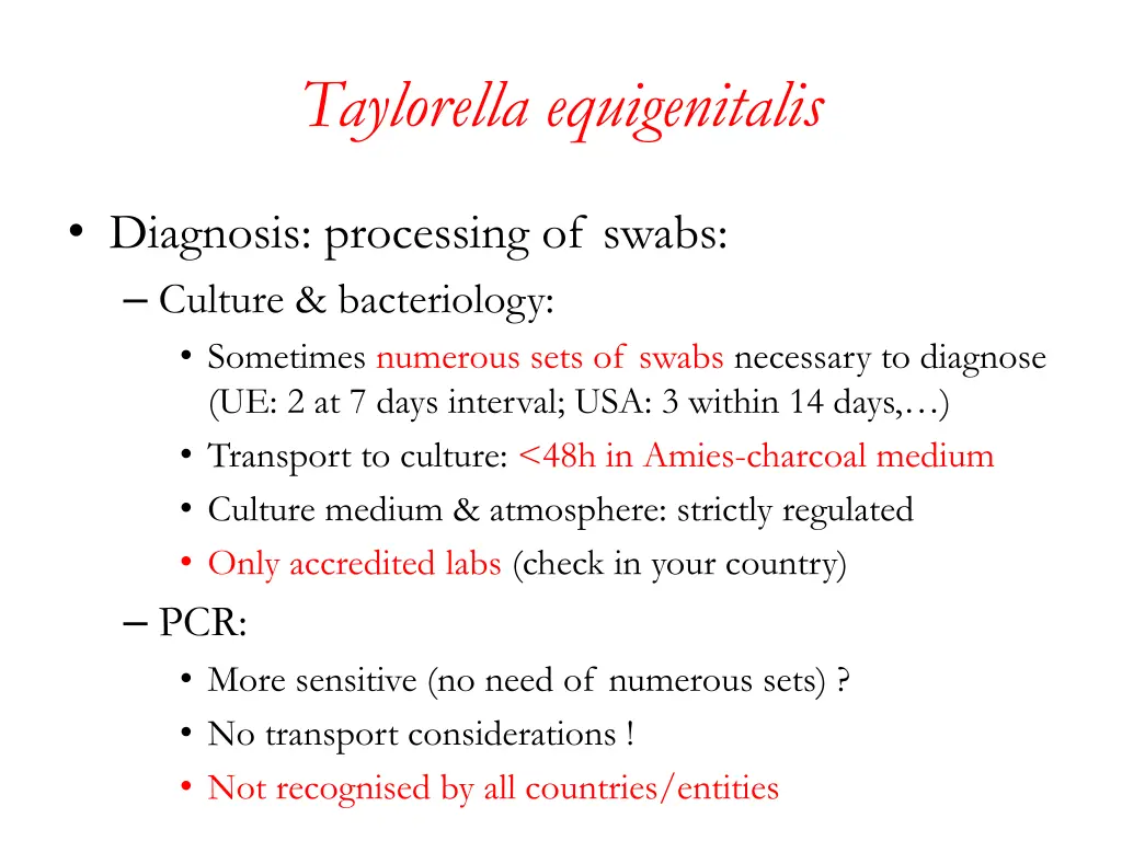 taylorella equigenitalis 1