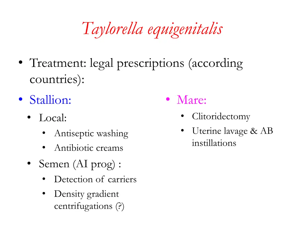 taylorella equigenitalis 2