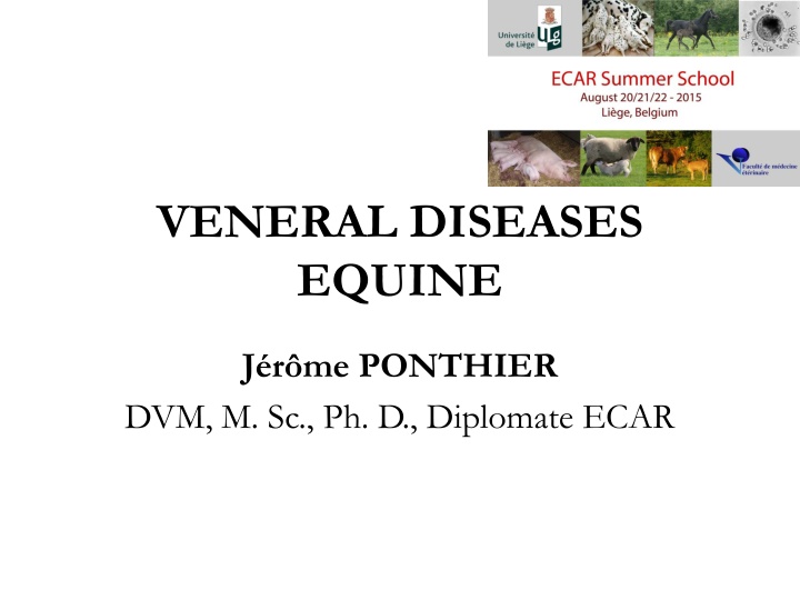 veneral diseases equine