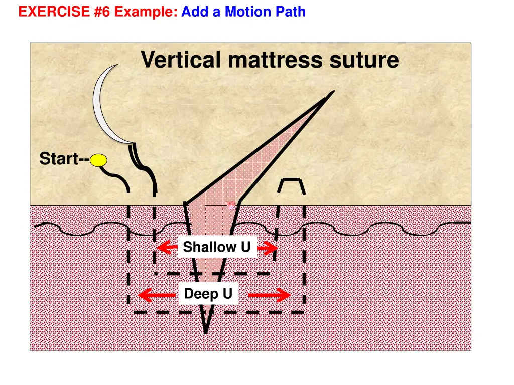 exercise 6 example add a motion path