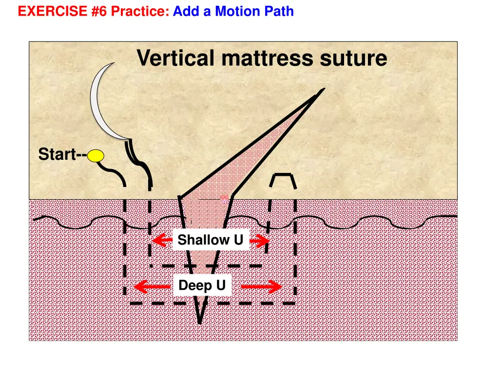 exercise 6 practice add a motion path