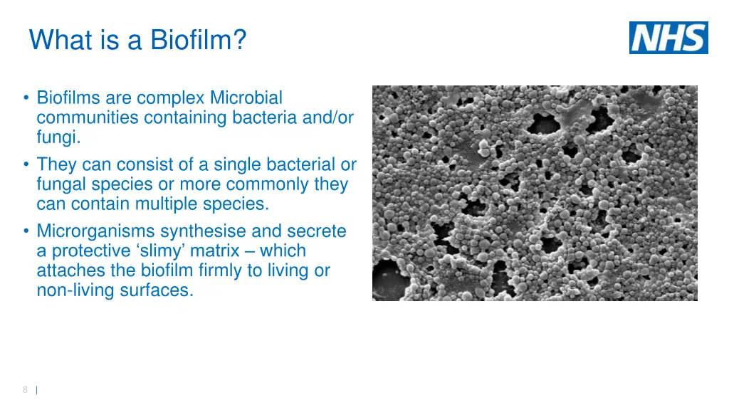 what is a biofilm