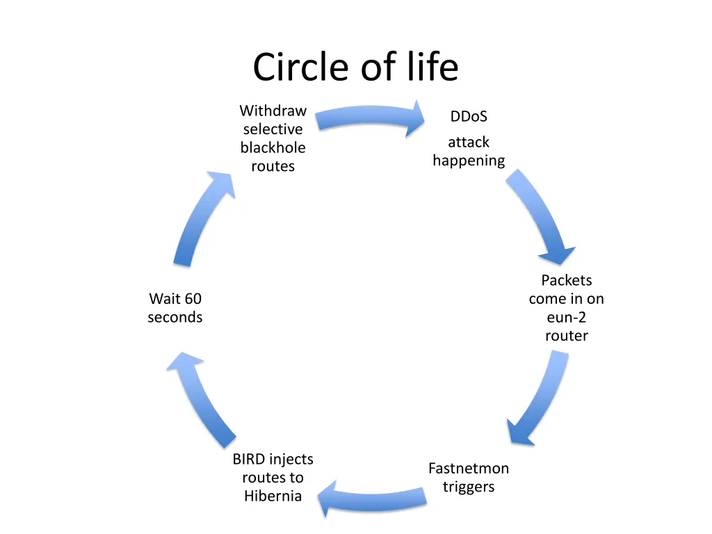 circle of life