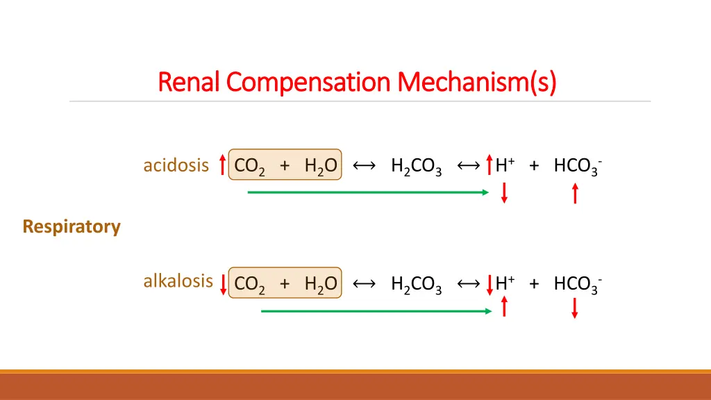 renal compensation mechanism s renal compensation