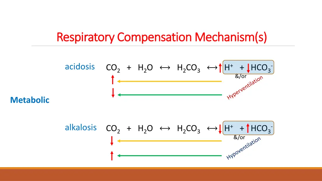 respiratory compensation mechanism s respiratory