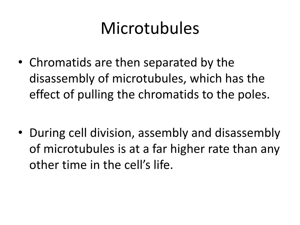 microtubules 2