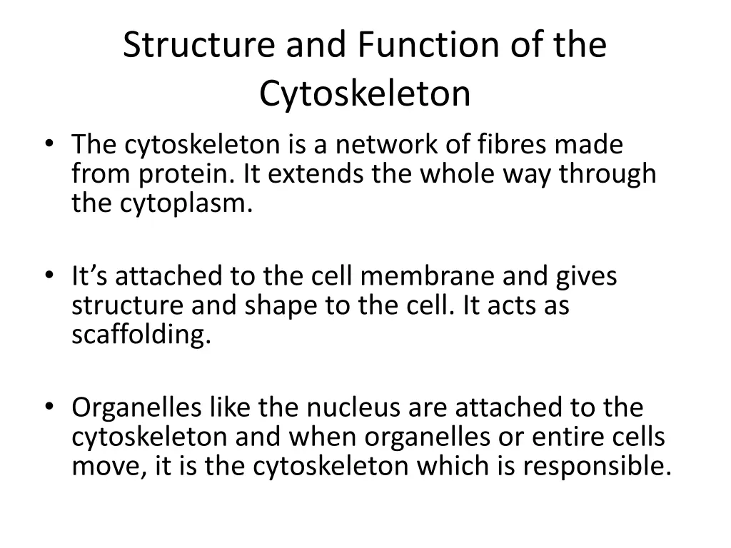 structure and function of the cytoskeleton