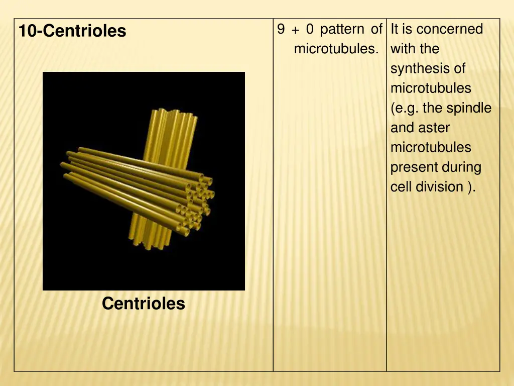 9 0 pattern of microtubules