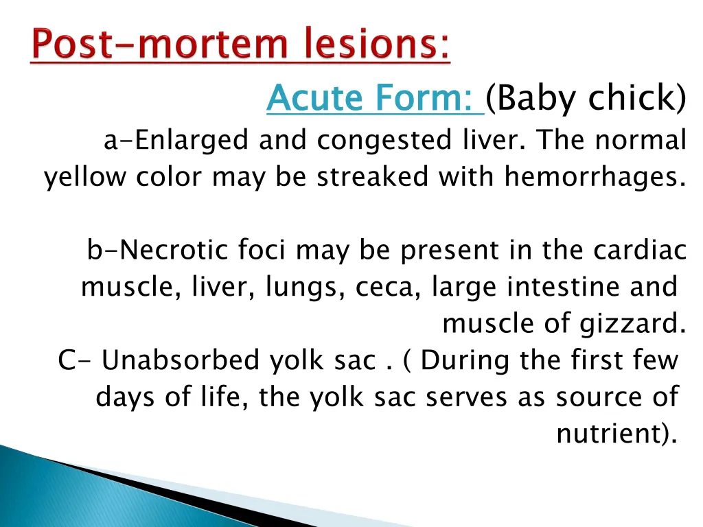 acute form baby chick a enlarged and congested