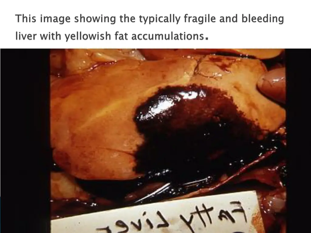 slide7